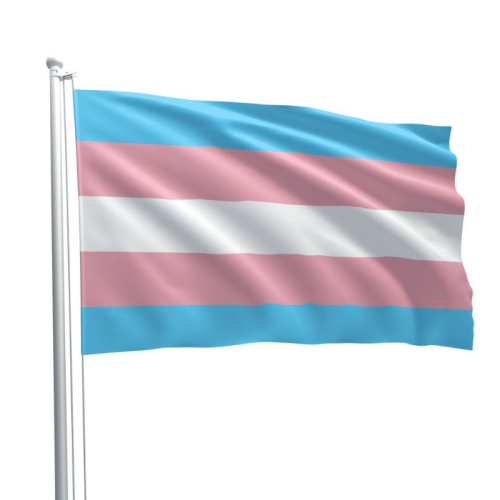 Pride Flag Transgender